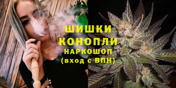Альфа ПВП Пестово