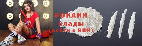 ПСИЛОЦИБИНОВЫЕ ГРИБЫ Осинники