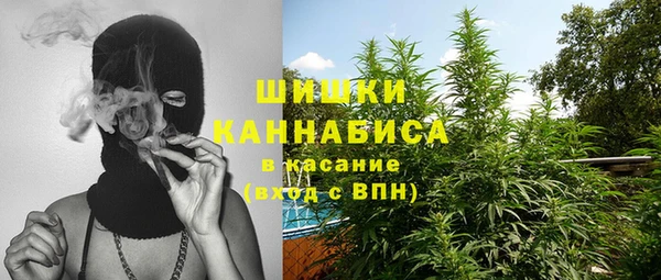 Альфа ПВП Пестово
