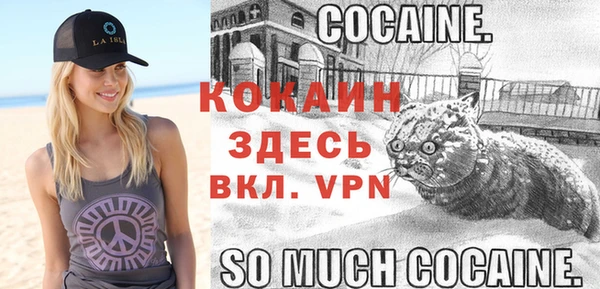 твердый Всеволожск