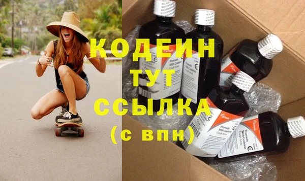 ПСИЛОЦИБИНОВЫЕ ГРИБЫ Осинники