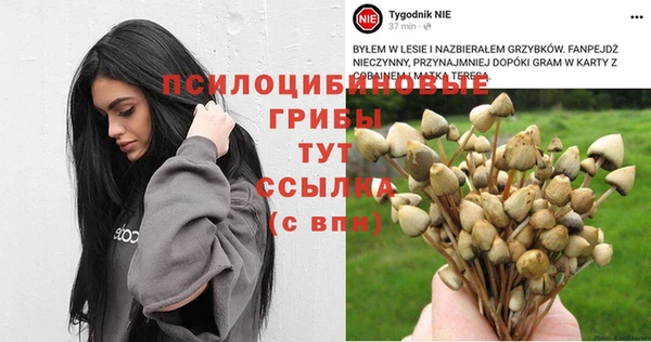 кокс Переславль-Залесский