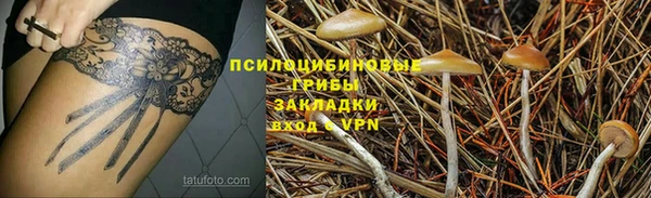 ПСИЛОЦИБИНОВЫЕ ГРИБЫ Осинники