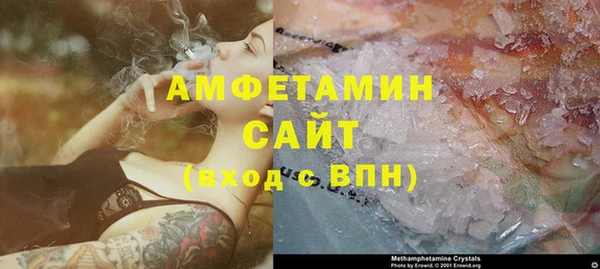 ПСИЛОЦИБИНОВЫЕ ГРИБЫ Осинники