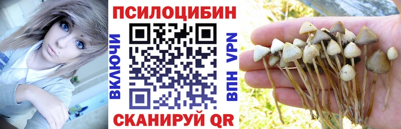 ссылка на мегу зеркало  Закаменск  Псилоцибиновые грибы мицелий 